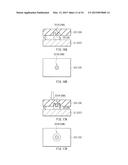 SENSOR DEVICE, METHOD OF MANUFACTURING SENSOR DEVICE, DISPLAY APPARATUS,     AND INPUT APPARATUS diagram and image