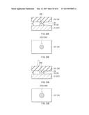 SENSOR DEVICE, METHOD OF MANUFACTURING SENSOR DEVICE, DISPLAY APPARATUS,     AND INPUT APPARATUS diagram and image