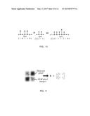 METHODS AND DEVICES FOR COHERENT OPTICAL DATA DETECTION AND COHERENT DATA     CHANNEL MODULATION diagram and image