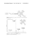 FUNCTIONALIZED FLUORINE CONTAINING PHTHALOCYANINE MOLECULES diagram and image