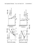 Method for inducing antitumor immunity using sindbis viral vectors and     tumor associated antigens diagram and image