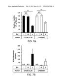 Method for inducing antitumor immunity using sindbis viral vectors and     tumor associated antigens diagram and image