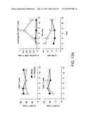 Method for inducing antitumor immunity using sindbis viral vectors and     tumor associated antigens diagram and image