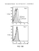 Method for inducing antitumor immunity using sindbis viral vectors and     tumor associated antigens diagram and image