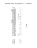 MODIFIED ANTI-EPIDERMAL GROWTH FACTOR RECEPTOR ANTIBODIES AND METHODS OF     USE THEREOF diagram and image