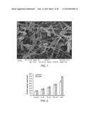 Mesoporous Silica Compositions for Modulating Immune Responses diagram and image