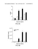 Mesoporous Silica Compositions for Modulating Immune Responses diagram and image