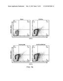 Mesoporous Silica Compositions for Modulating Immune Responses diagram and image