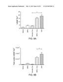 Mesoporous Silica Compositions for Modulating Immune Responses diagram and image