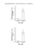 Mesoporous Silica Compositions for Modulating Immune Responses diagram and image