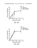 Mesoporous Silica Compositions for Modulating Immune Responses diagram and image