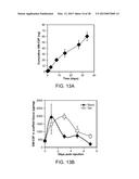 Mesoporous Silica Compositions for Modulating Immune Responses diagram and image
