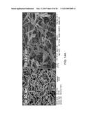 Mesoporous Silica Compositions for Modulating Immune Responses diagram and image