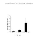 Mesoporous Silica Compositions for Modulating Immune Responses diagram and image