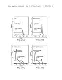 Mesoporous Silica Compositions for Modulating Immune Responses diagram and image