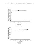 Mesoporous Silica Compositions for Modulating Immune Responses diagram and image