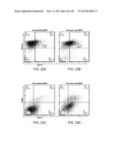 Mesoporous Silica Compositions for Modulating Immune Responses diagram and image