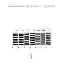 SELF-ASSEMBLED STRUCTURES, METHOD OF MANUFACTURE THEREOF AND ARTICLES     COMPRISING THE SAME diagram and image