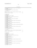 METHODS AND KITS FOR SYNTHESIS OF siRNA EXPRESSION CASSETTES diagram and image