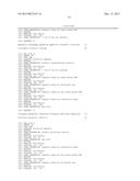 METHODS AND KITS FOR SYNTHESIS OF siRNA EXPRESSION CASSETTES diagram and image