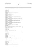 METHODS AND KITS FOR SYNTHESIS OF siRNA EXPRESSION CASSETTES diagram and image