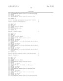 METHODS AND KITS FOR SYNTHESIS OF siRNA EXPRESSION CASSETTES diagram and image