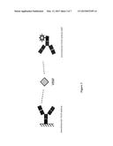 METHOD FOR THE DETECTION OF FREE BINDING PARTNER OF A MULTISPECIFIC BINDER diagram and image
