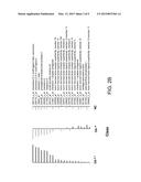 METHODS AND KITS FOR DIAGNOSING OSTEOARTHRITIS AND PREDICTING PROGRESSION diagram and image