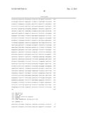 TRANSCRIPTION UNITS AND THE USE THEREOF IN EXPRESSION VECTORS diagram and image