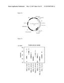 TRANSCRIPTION UNITS AND THE USE THEREOF IN EXPRESSION VECTORS diagram and image