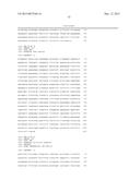 TRANSCRIPTION UNITS AND THE USE THEREOF IN EXPRESSION VECTORS diagram and image