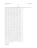 TRANSCRIPTION UNITS AND THE USE THEREOF IN EXPRESSION VECTORS diagram and image