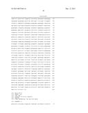 TRANSCRIPTION UNITS AND THE USE THEREOF IN EXPRESSION VECTORS diagram and image