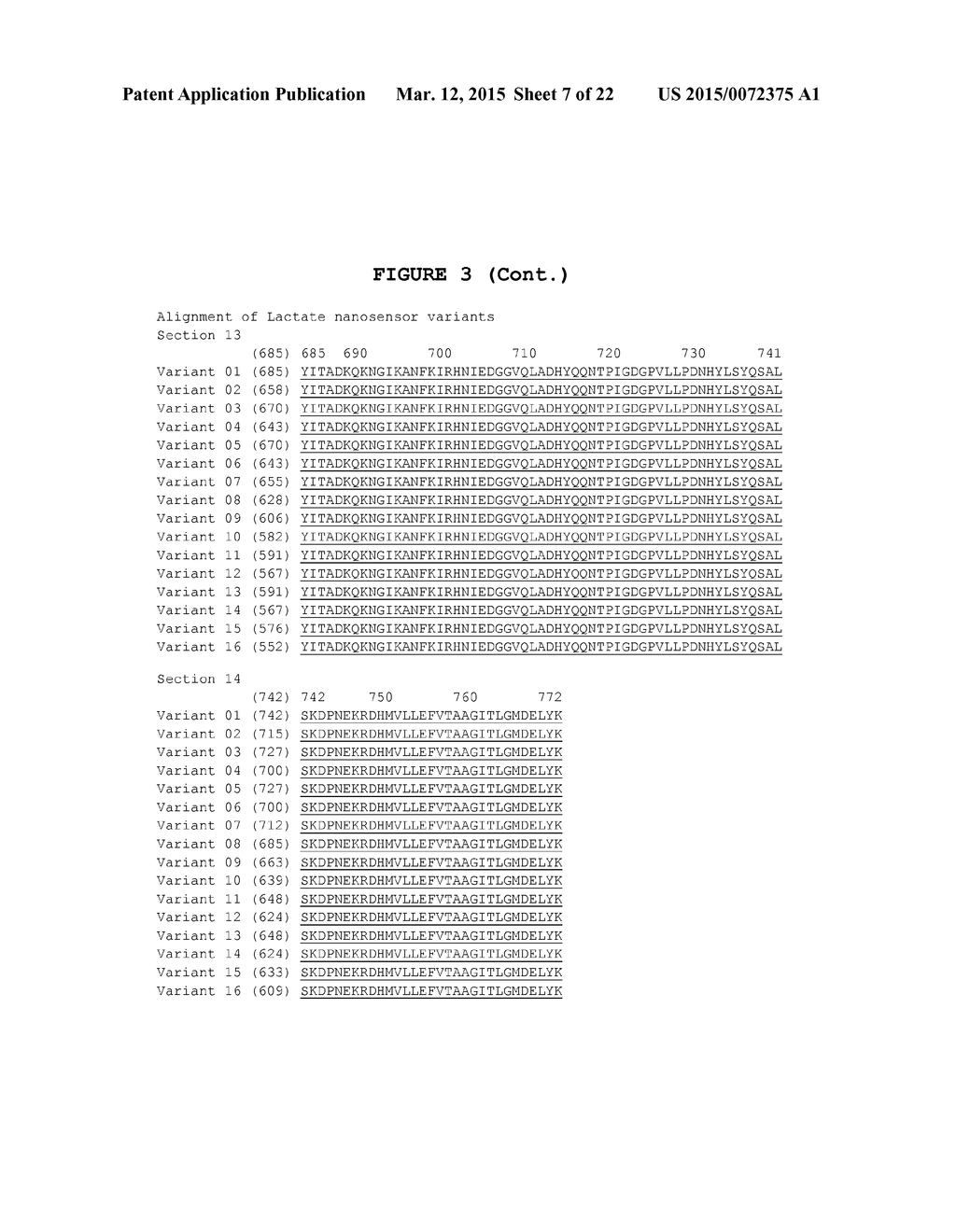 GENETICALLY ENCODED PROBE FOR QUANTIFICATION OF LACTATE AND METHODS FOR     QUANTIFYING METABOLIC RATES AND LACTATE TRANSPORT - diagram, schematic, and image 08