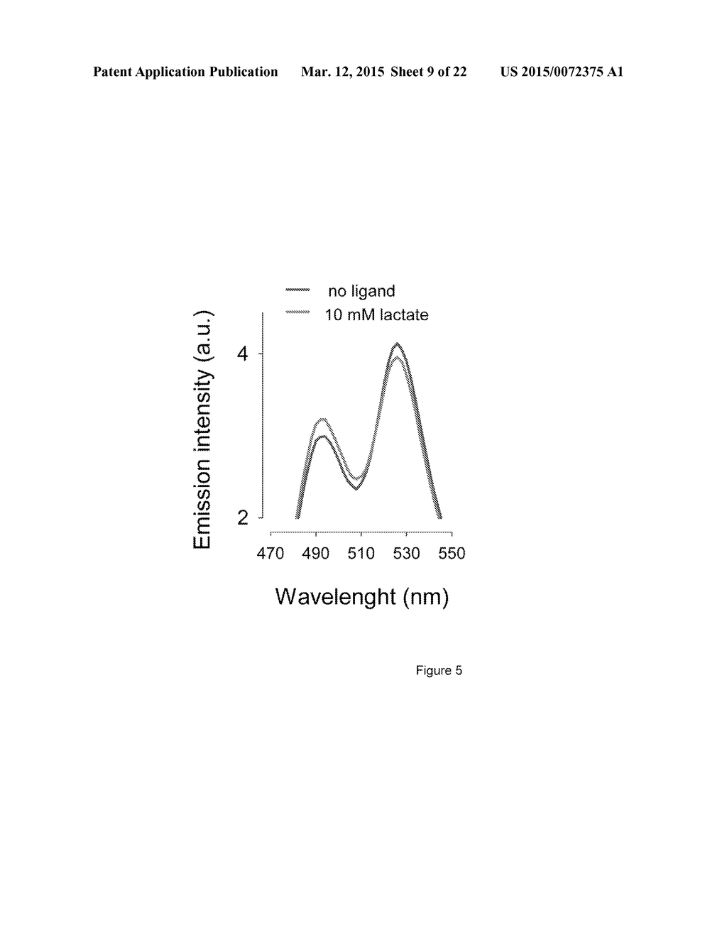 GENETICALLY ENCODED PROBE FOR QUANTIFICATION OF LACTATE AND METHODS FOR     QUANTIFYING METABOLIC RATES AND LACTATE TRANSPORT - diagram, schematic, and image 10