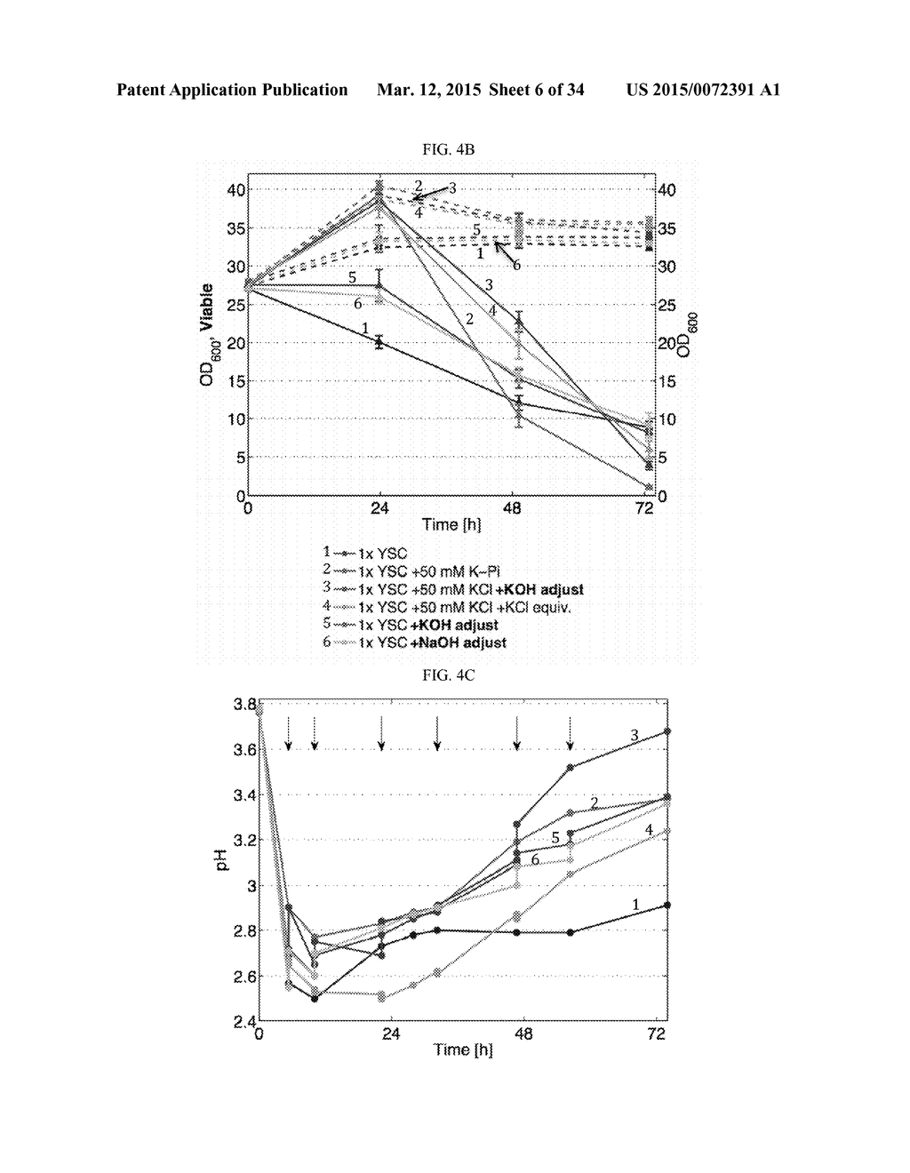 ETHANOL PRODUCTION IN ENGINEERED YEAST - diagram, schematic, and image 07