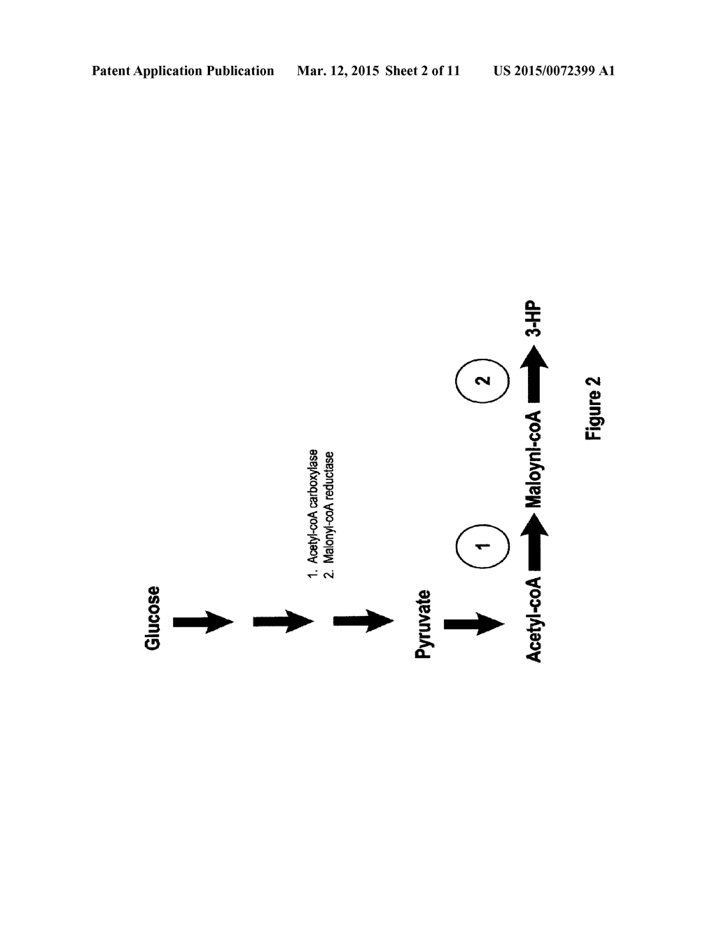 Methods, Systems And Compositions Related To Reduction Of Conversions Of     Microbially Produced 3-Hydroxypropionic Acid (3-HP) To Aldehyde     Metabolites - diagram, schematic, and image 03