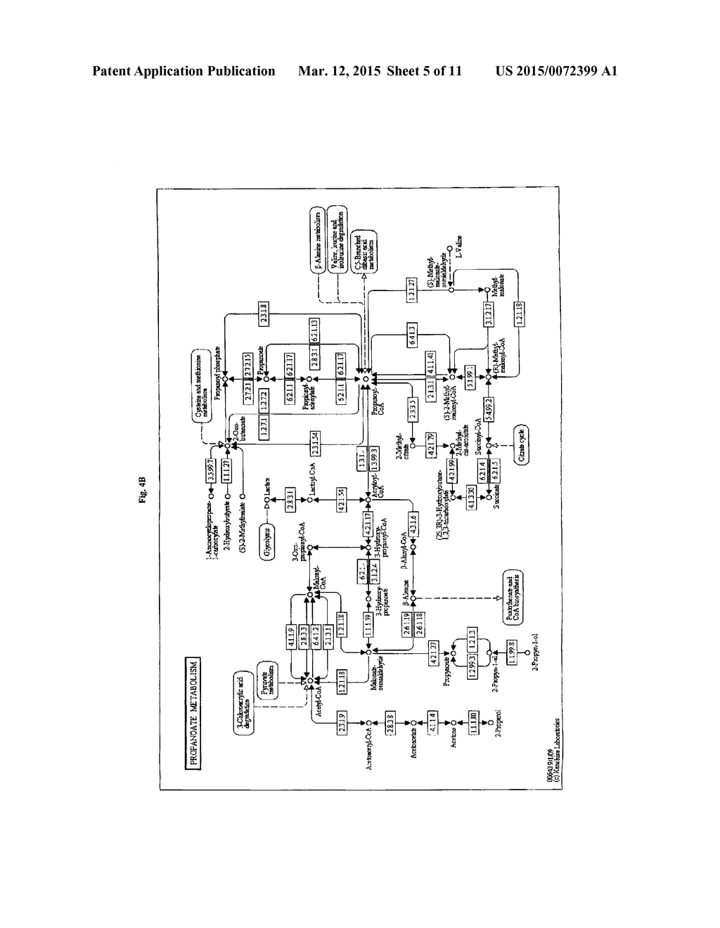 Methods, Systems And Compositions Related To Reduction Of Conversions Of     Microbially Produced 3-Hydroxypropionic Acid (3-HP) To Aldehyde     Metabolites - diagram, schematic, and image 06