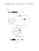 IDENTIFICATION OF ANTIGEN OR LIGAND-SPECIFIC BINDING PROTEINS diagram and image