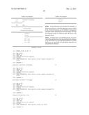 Corn Event TC1507 And Methods For Detection Thereof diagram and image