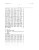 Corn Event TC1507 And Methods For Detection Thereof diagram and image