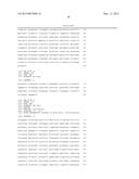 Corn Event TC1507 And Methods For Detection Thereof diagram and image