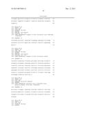 Corn Event TC1507 And Methods For Detection Thereof diagram and image