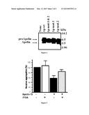 POLYPEPTIDES AS APELIN INHIBITORS AND USES THEREOF diagram and image