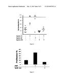 POLYPEPTIDES AS APELIN INHIBITORS AND USES THEREOF diagram and image