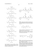 BORONIC ESTER AND ACID COMPOUNDS, SYNTHESIS AND USES diagram and image