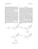 BORONIC ESTER AND ACID COMPOUNDS, SYNTHESIS AND USES diagram and image