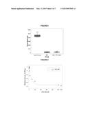 Methotrexate Adjuvants to Reduce Toxicity and Methods for Using the Same diagram and image