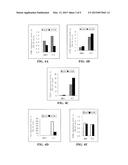 USE OF PHOSPHORYLATION PATHWAY-RELATED FACTOR IN REGULATING FUNCTION OF     REGULATORY T CELL diagram and image