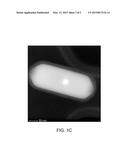 Metal Oxide Particles with Uniform Multilayer Polymer Coatings diagram and image